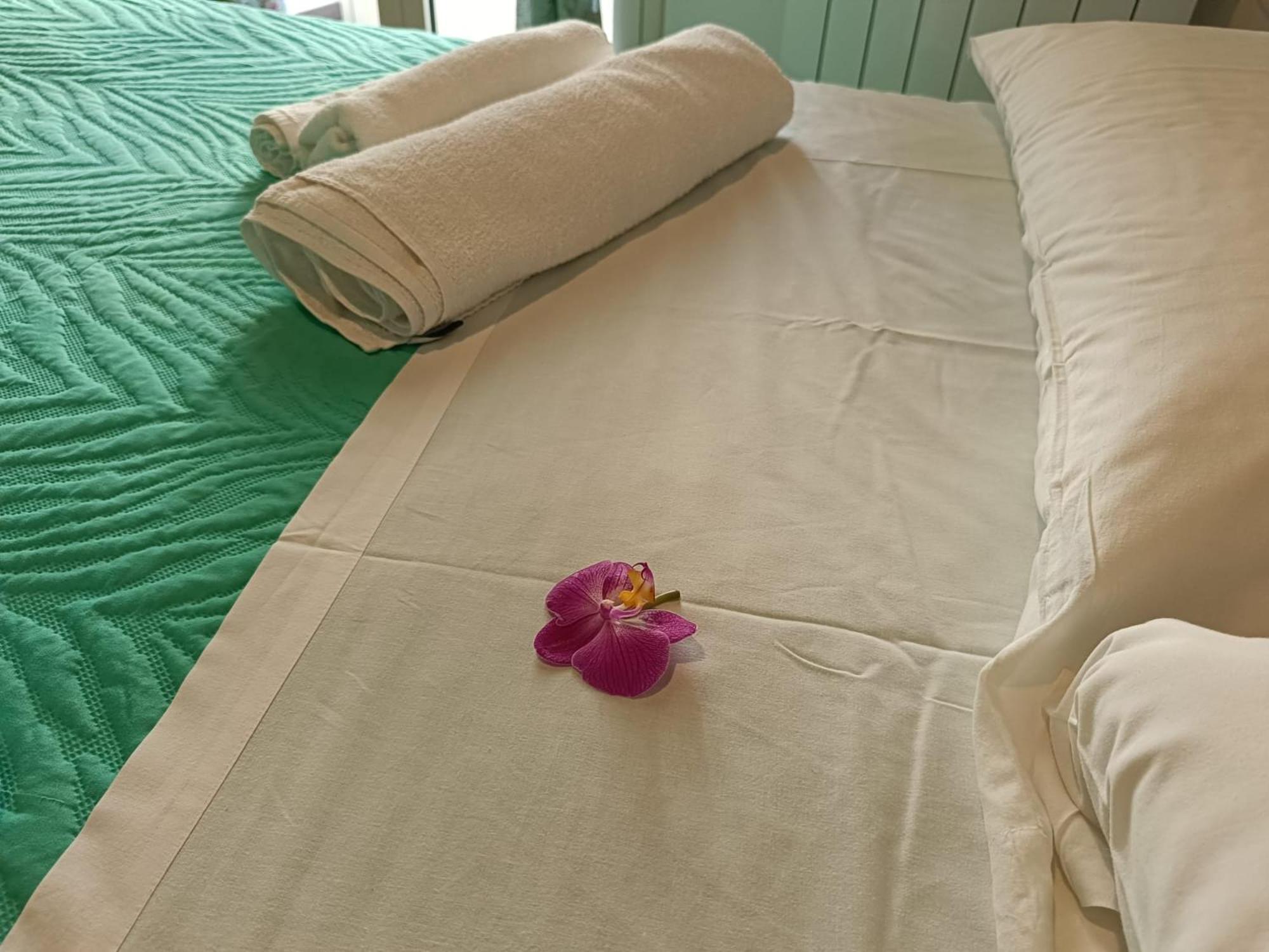 Appartement We # Are Ai Cassarelli *