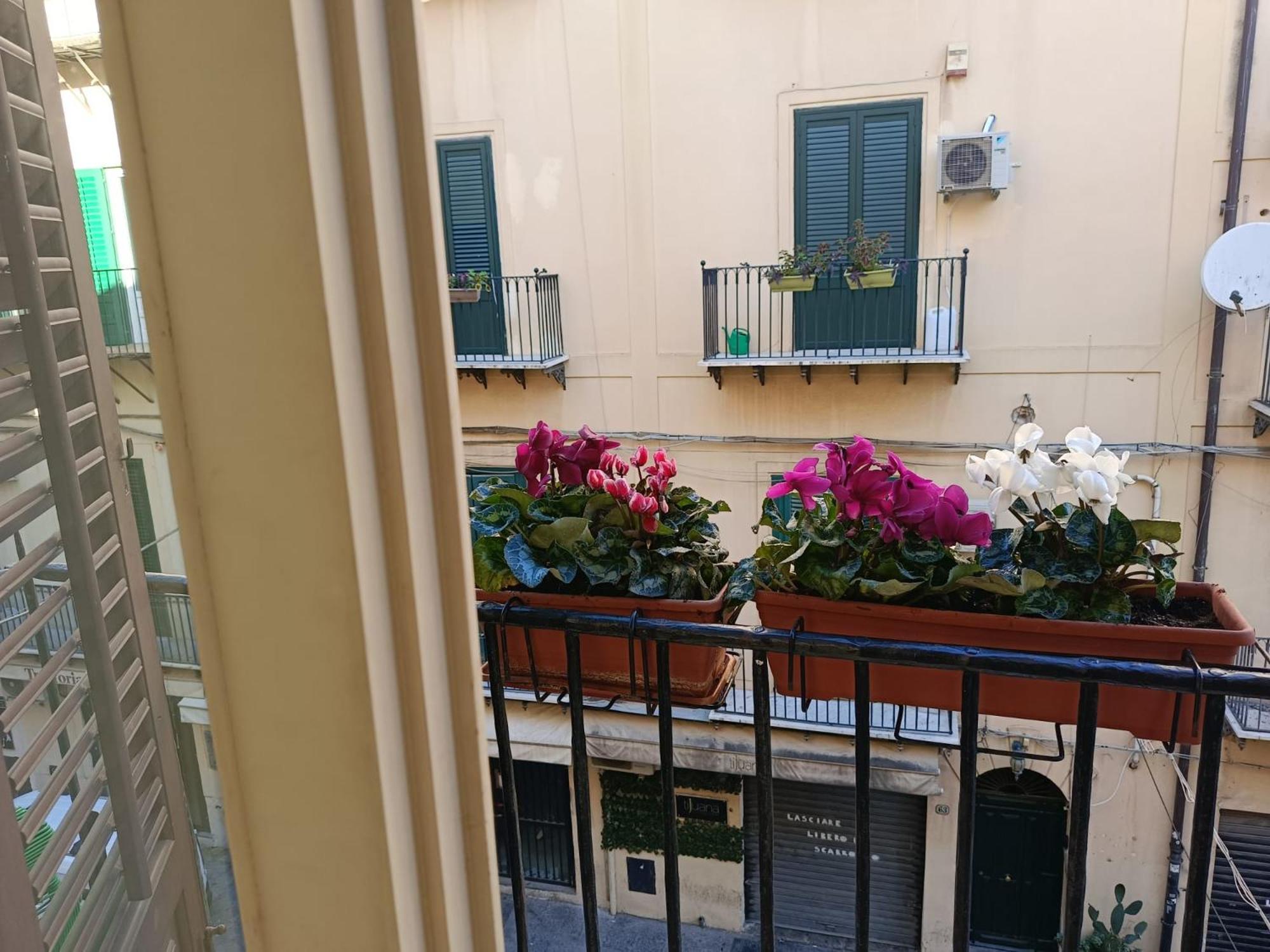 Appartement We # Are Ai Cassarelli *